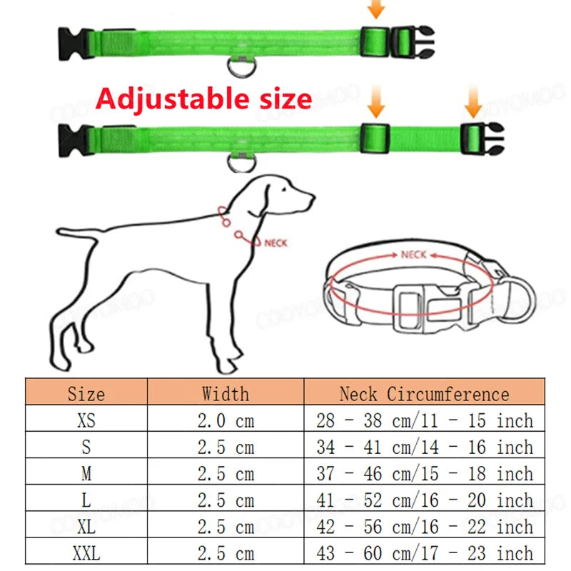 “Keep Your Dog Safe & Visible at Night (LED Collar)”