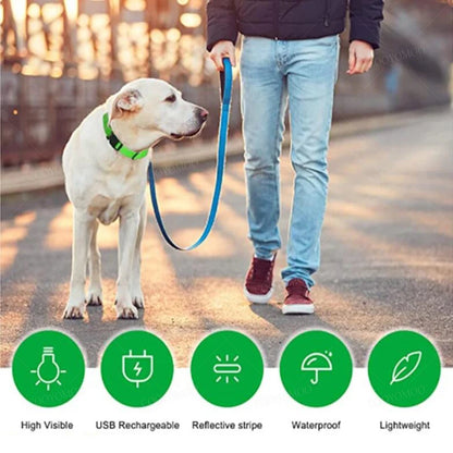“Keep Your Dog Safe & Visible at Night (LED Collar)”