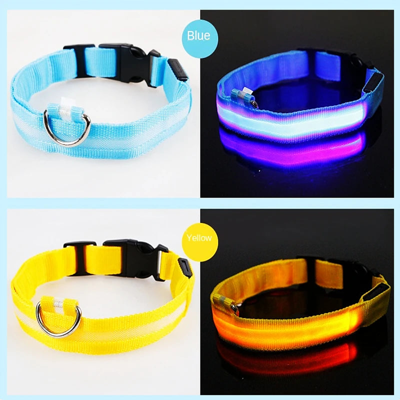 “Keep Your Dog Safe & Visible at Night (LED Collar)”