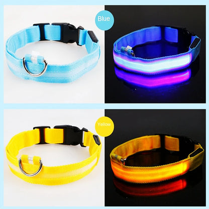 “Keep Your Dog Safe & Visible at Night (LED Collar)”