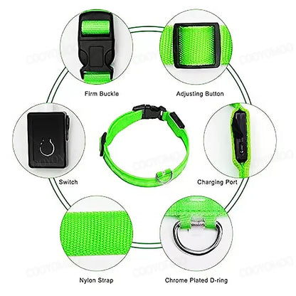 “Keep Your Dog Safe & Visible at Night (LED Collar)”
