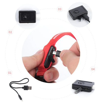 “Keep Your Dog Safe & Visible at Night (LED Collar)”