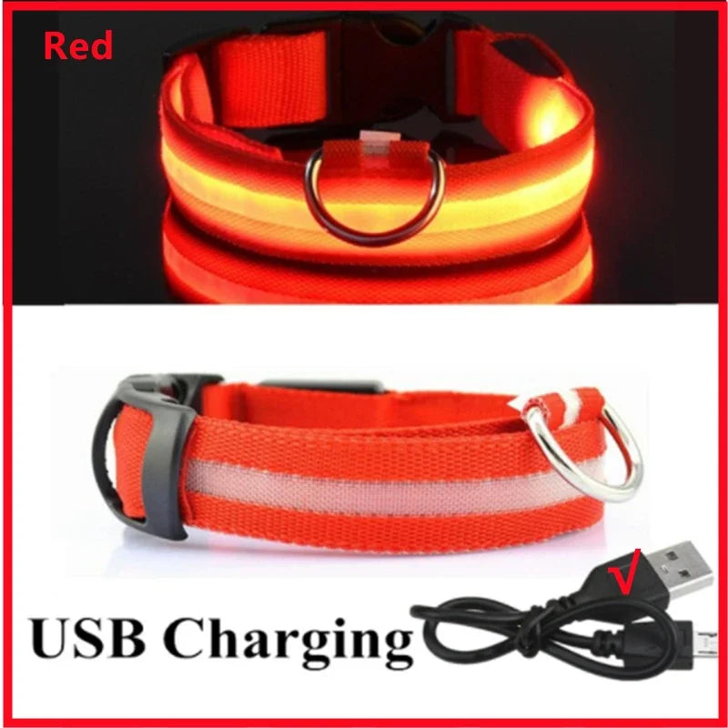 “Keep Your Dog Safe & Visible at Night (LED Collar)”