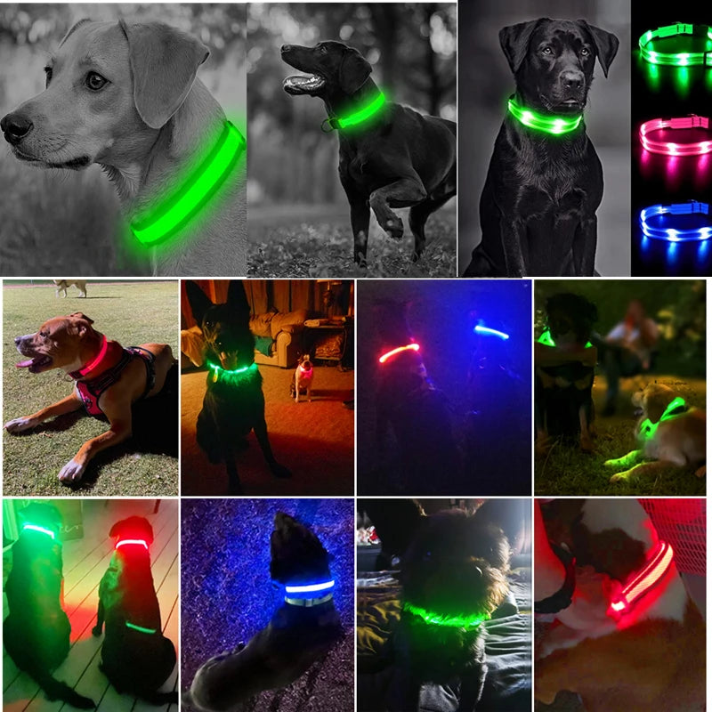 “Keep Your Dog Safe & Visible at Night (LED Collar)”