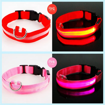 “Keep Your Dog Safe & Visible at Night (LED Collar)”