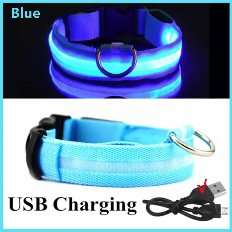 “Keep Your Dog Safe & Visible at Night (LED Collar)”