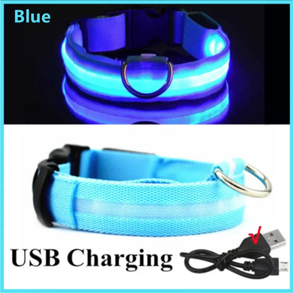“Keep Your Dog Safe & Visible at Night (LED Collar)”