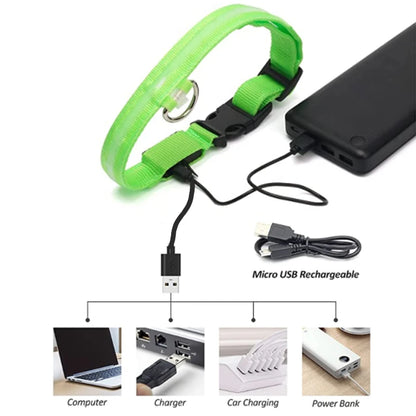 “Keep Your Dog Safe & Visible at Night (LED Collar)”