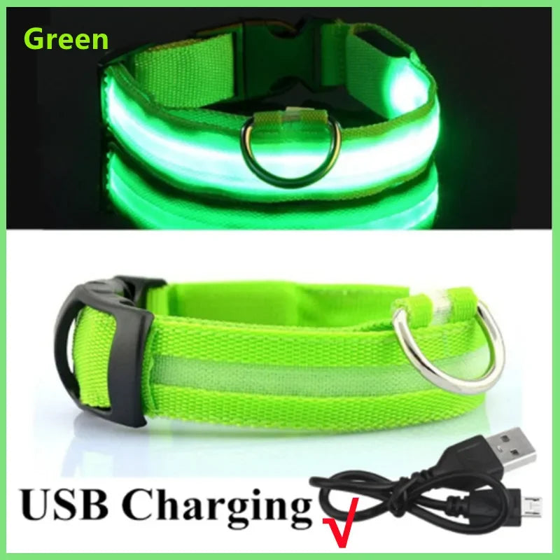 “Keep Your Dog Safe & Visible at Night (LED Collar)”