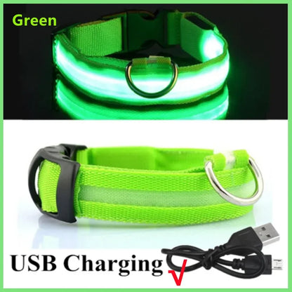 “Keep Your Dog Safe & Visible at Night (LED Collar)”