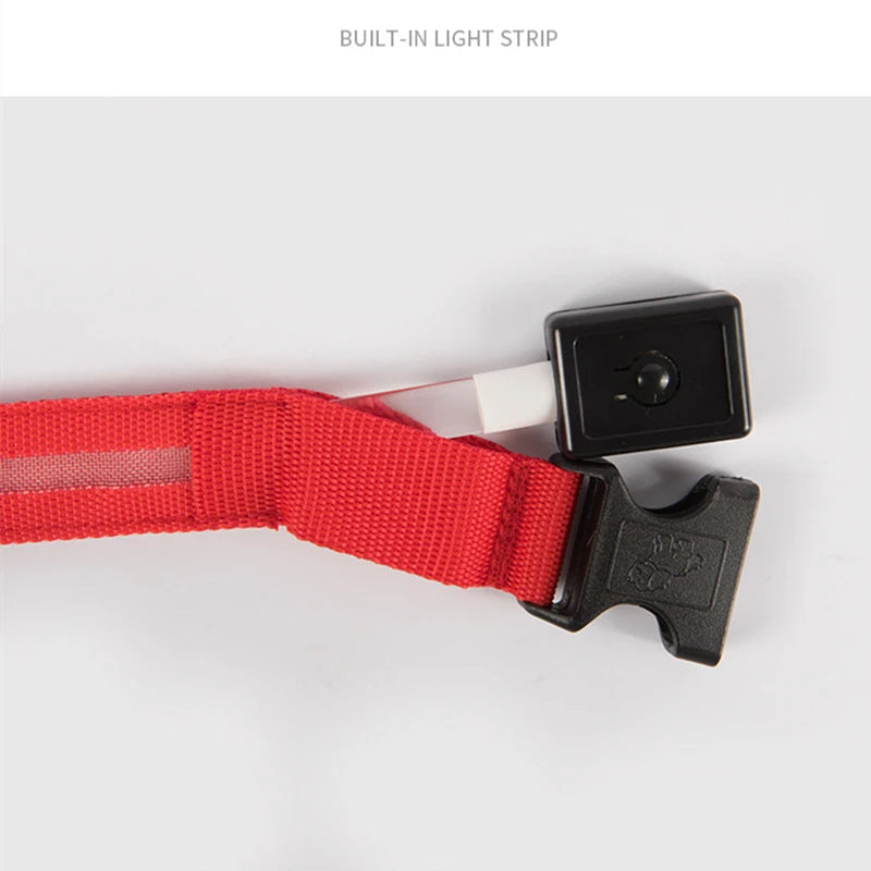 “Keep Your Dog Safe & Visible at Night (LED Collar)”