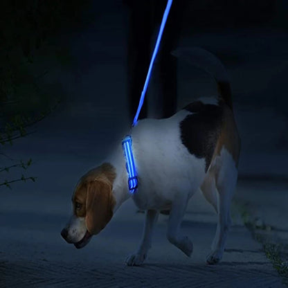 “Keep Your Dog Safe & Visible at Night (LED Collar)”