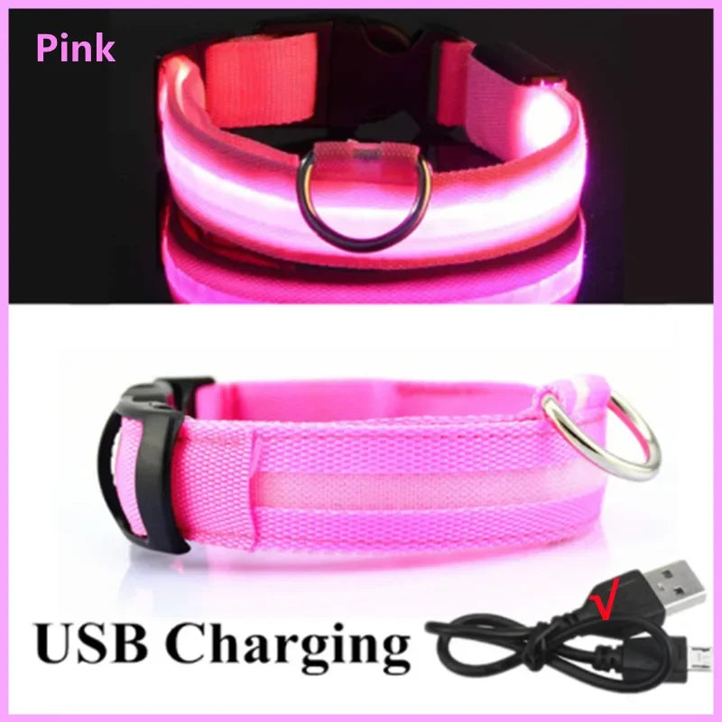“Keep Your Dog Safe & Visible at Night (LED Collar)”