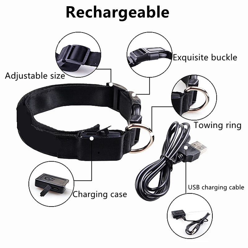 “Keep Your Dog Safe & Visible at Night (LED Collar)”