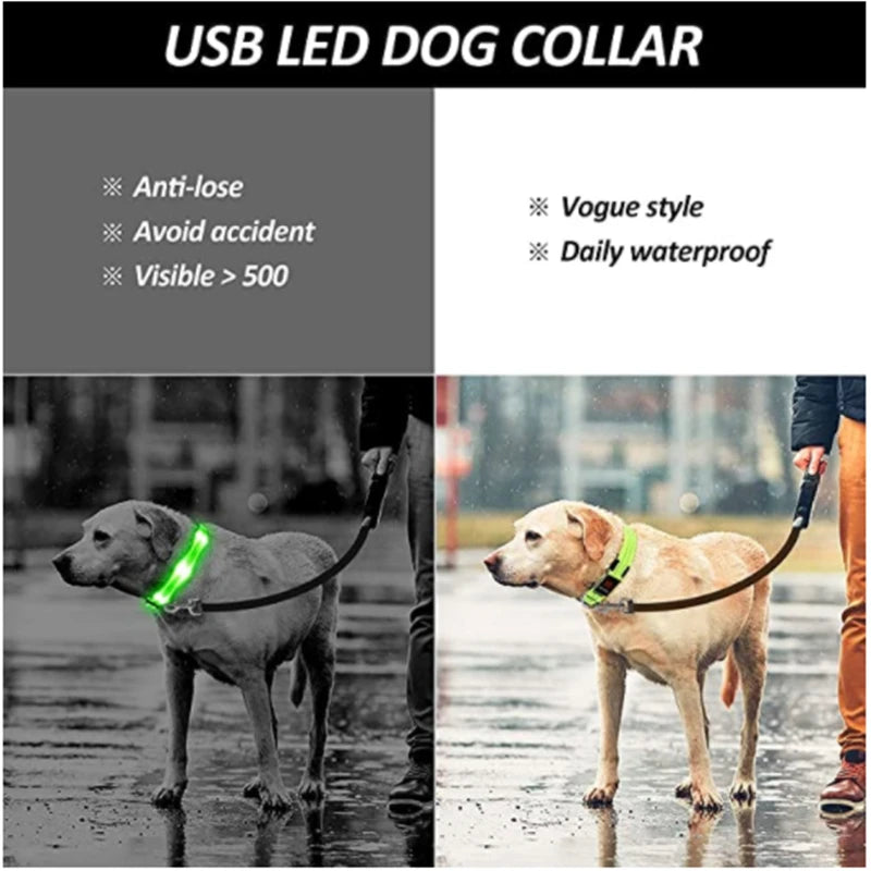 “Keep Your Dog Safe & Visible at Night (LED Collar)”