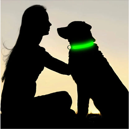 “Keep Your Dog Safe & Visible at Night (LED Collar)”