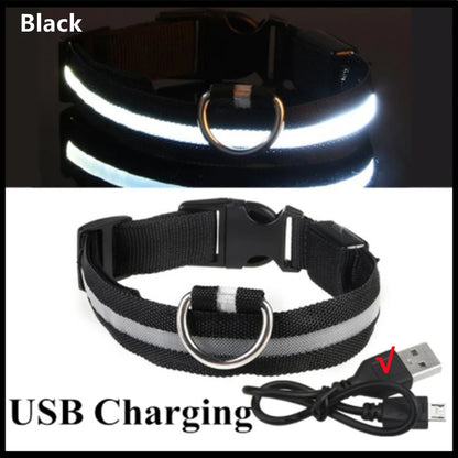 “Keep Your Dog Safe & Visible at Night (LED Collar)”