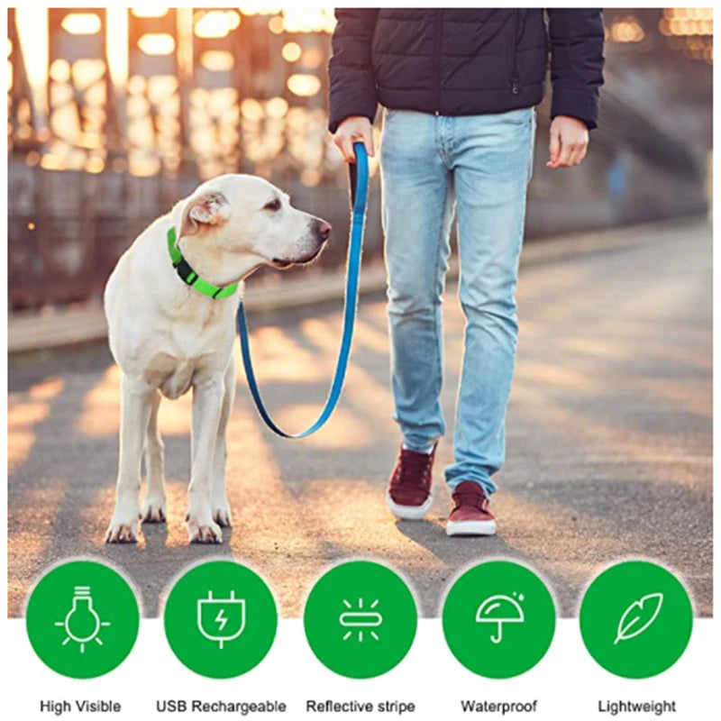 “Keep Your Dog Safe & Visible at Night (LED Collar)”