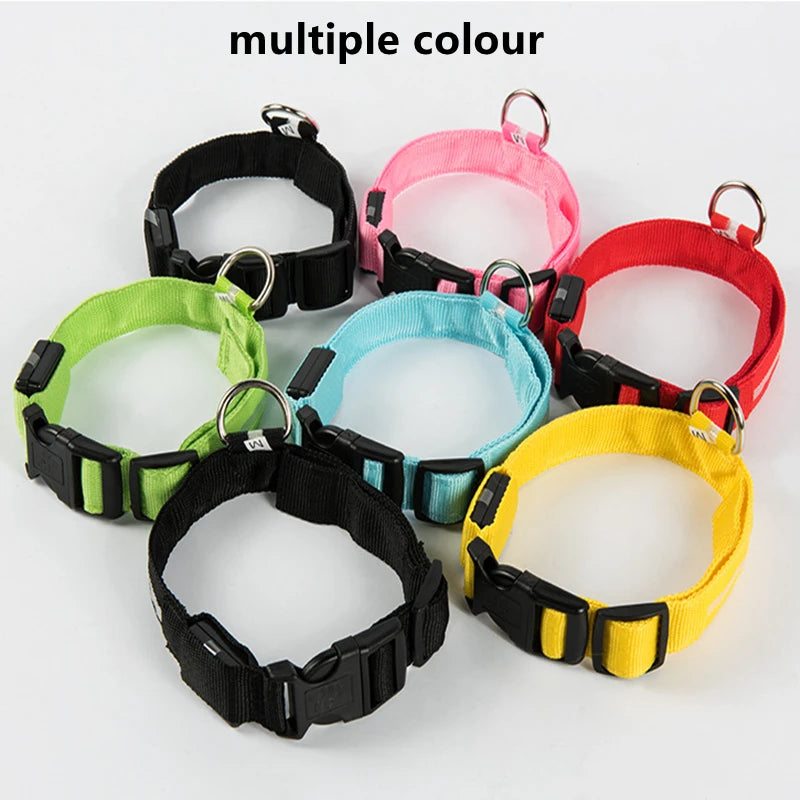 “Keep Your Dog Safe & Visible at Night (LED Collar)”