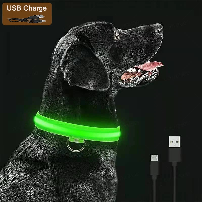 “Keep Your Dog Safe & Visible at Night (LED Collar)”