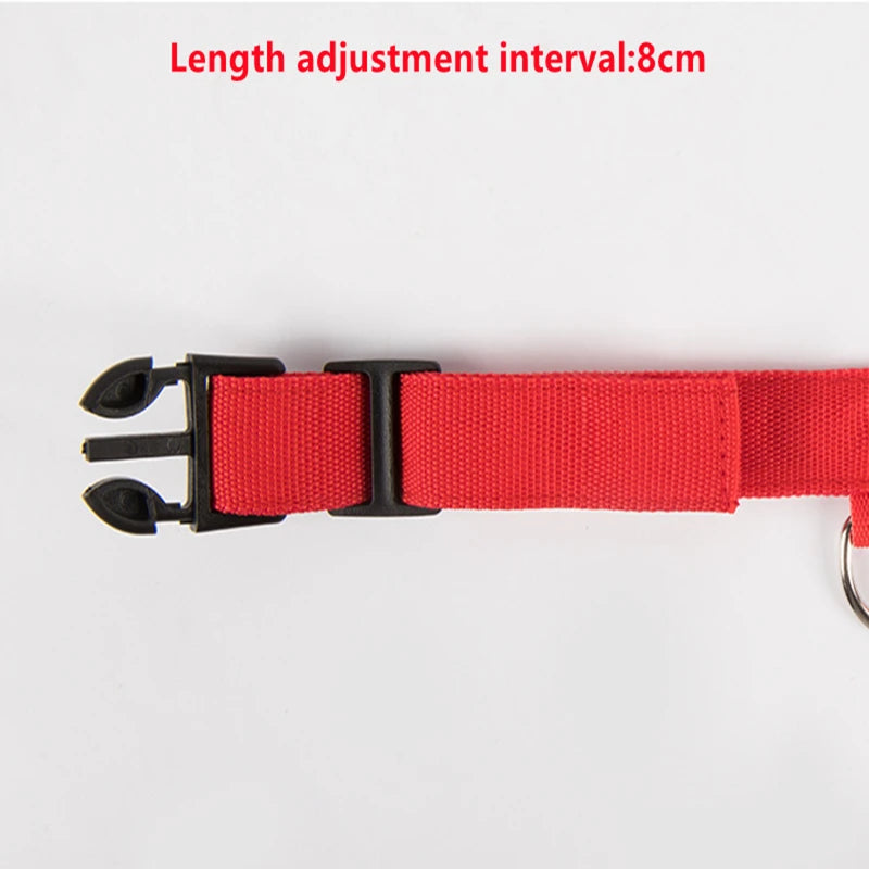 “Keep Your Dog Safe & Visible at Night (LED Collar)”